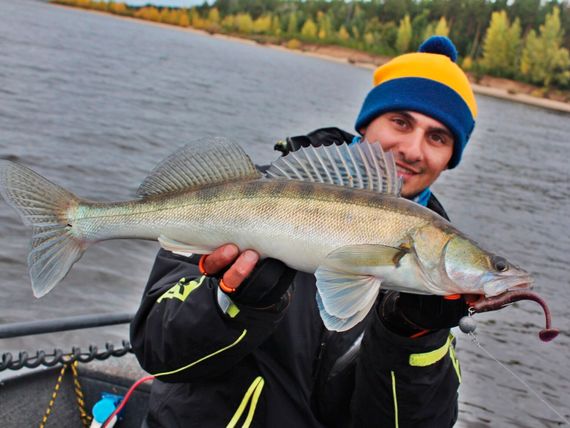 Виброхвосты съедобные LJ Pro Series MINNOW 2.2in (5,6 см), цв. S13, 10 шт.