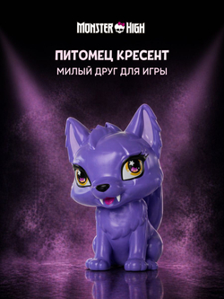 Модная кукла Монстр Хай - Клодин Вульф. Mattel Monster High Гардероб с одеждой для кукол и аксессуарами. Игрушки для девочек, HYB12