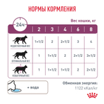 Корм для кошек с проблемами почек, кусочки в соусе с Рыбой Royal Canin RENAL