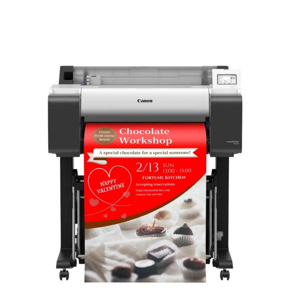 Плоттер Canon imagePROGRAF TM-255, 24", A1, 5 цветов, WiFi, (стенд), цветной
