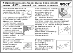 Аптечка ФЭСТ групповая для лесного пожарного м.3145