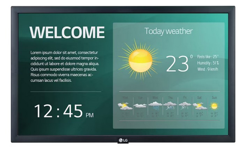 Профессиональный ЖК дисплей LG 22SM3G-B
