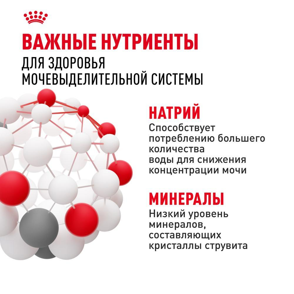 Влажный корм для кошек Цыплёнок в соусе, 85г Royal Canin Urinary C/O ИМПОРТ