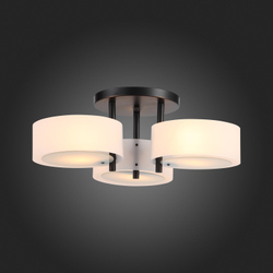 Светильник потолочный Evoluce Foresta SL483.402.03