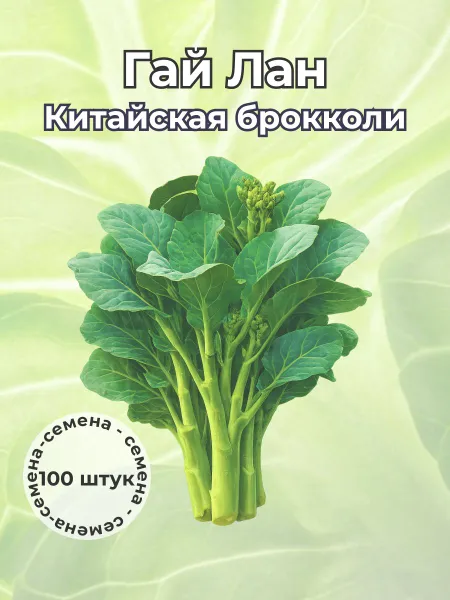 Китайская брокколи Гай Лан семена 100+ штук