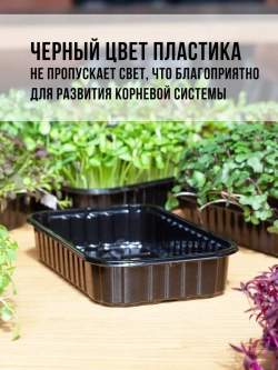 Лотки для выращивания микрозелени пластиковые 900 МЛ, 10 ШТ