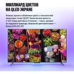 Телевизор Яндекс ТВ YNDX-00081 Станция Бейсик QLED с Алисой 65" 4K UltraHD черный