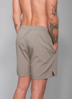 Мужские теннисные шорты RS Performance Shorts Solid Taupe/White (251M305105/000)
