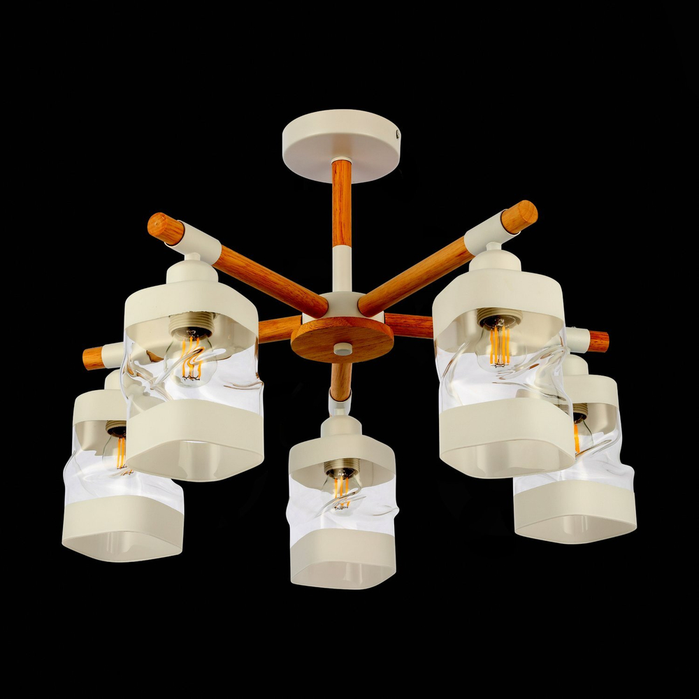 Светильник потолочный Evoluce Abiritto SLE114502-05