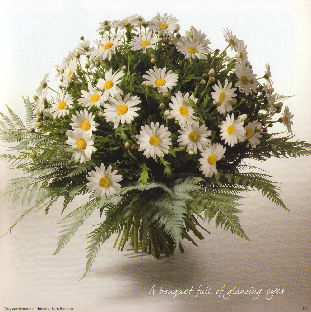 The Bouquet Talks