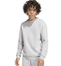 Детская теннисная толстовка Adidas Kids Entrada 26 Sweat Top - team light grey/white