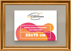 Рамка 55x75 для постера и фотографий