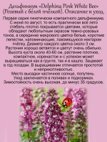 Дельфиниум Розовый с белой пчёлкой