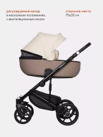 Коляска OZON Ecco (2 в 1) (RIKO BASIC)