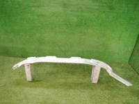 DSCN0237.jpg