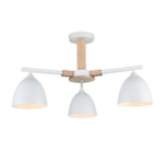 Потолочная люстра Lumion COLANGE 8095/3C