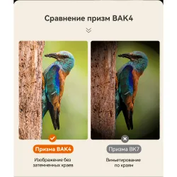Бинокль Eyeskey Vigil - 12x50 - сравнение призм BAK4 и BK7
