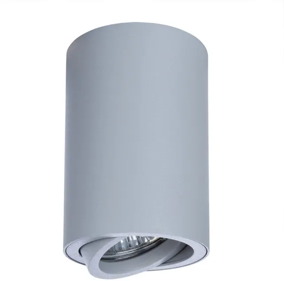 Точечный светильник Sentry A1560PL-1GY Arte Lamp