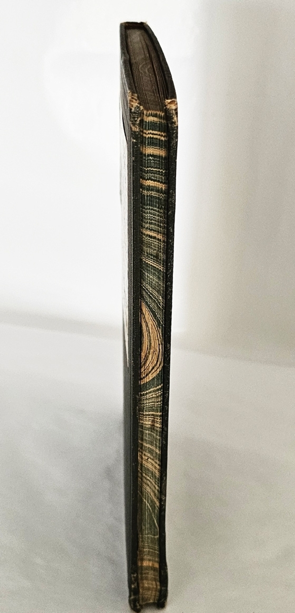 "Наблюдения юного натуралиста : Очерки А.А. Умнова". А.А. Умнов. 1909г.