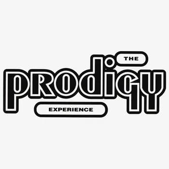 Винил PRODIGY Experience
