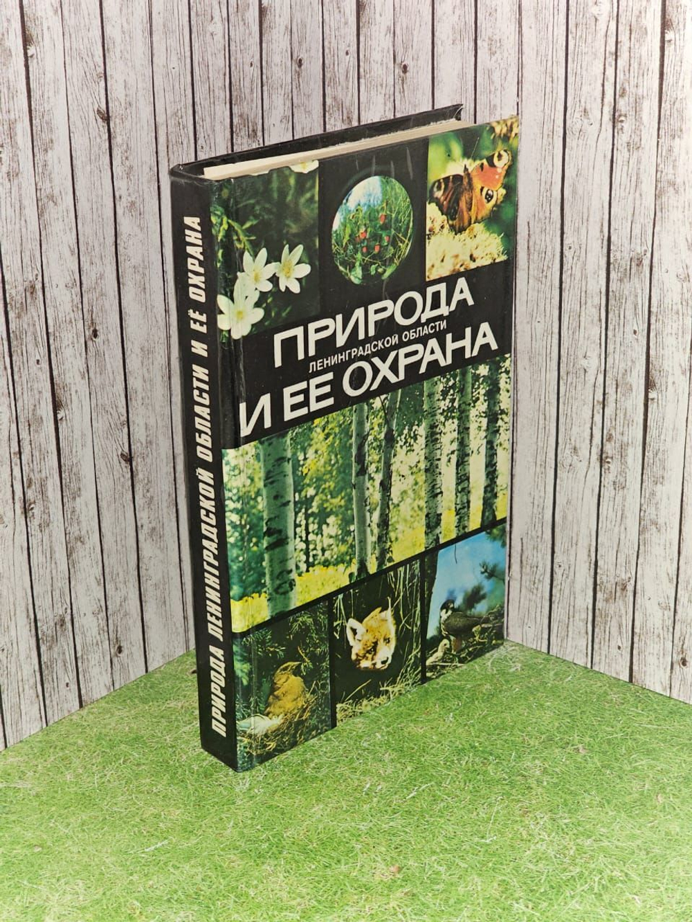 Природа Ленинградской области и ее охрана