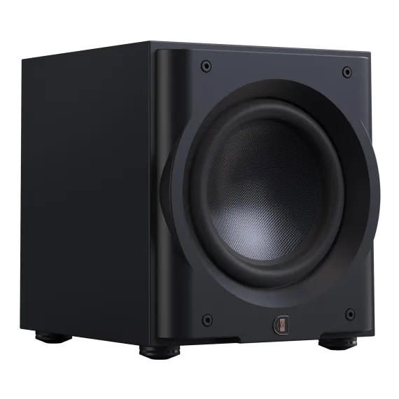 Perlisten Audio R10s Matte Black