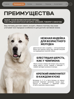 Корм сухой для пожилых собак породы Среднеазиатская овчарка (Алабай) старше 5 лет, с индейкой, 3 кг, QUATTRO