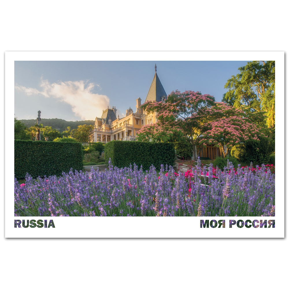 Лаванда у Массандровского дворца, Крым