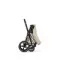 Детская коляска Cybex Priam V Style 2 в 1 Cozy Beige на раме Rosegold