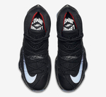 Заказать в Москве Nike LeBron 13 Low Black