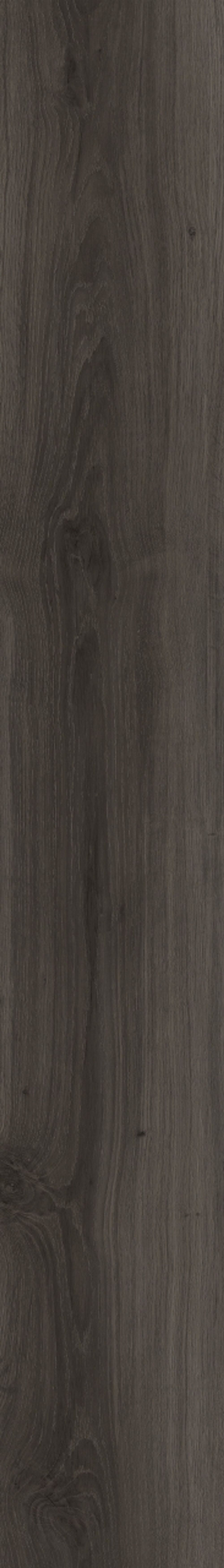 Moduleo Next Acoustic Tradition Oak 890