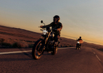 Мотоцикл Royal Enfield Bear 650 Golden Shadow