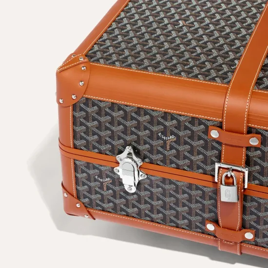 Чемодан Goyard Bourget PM