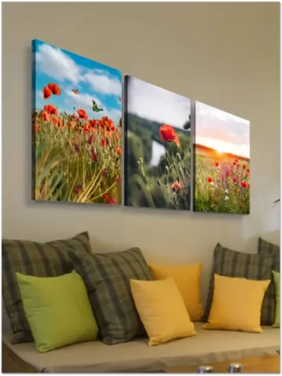 Картина Алые сияния модульная 50x70см 3шт.