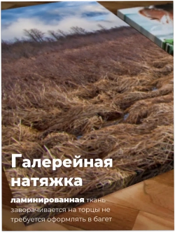 Картина Тайна болотной тропы модульная 50x70см 3шт.