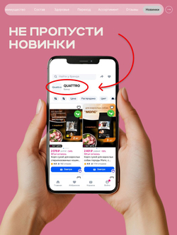 Корм сухой для взрослых собак породы Джек Рассел Терьер, с ягненком, 800 гр, QUATTRO