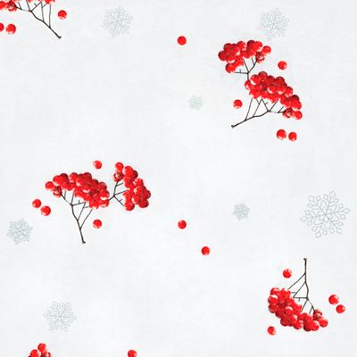 Зима. Рябина на снегу