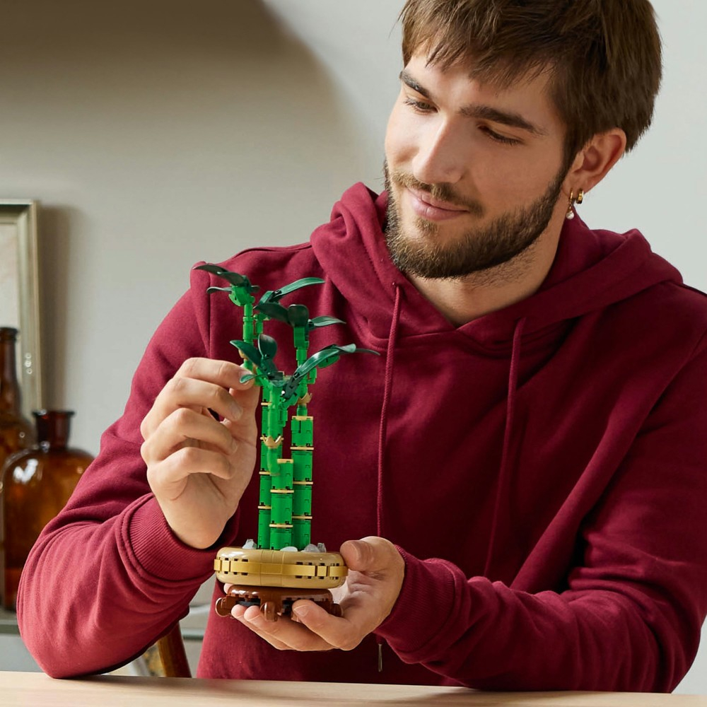 Конструктор LEGO Botanicals 10344 Драцена сандера