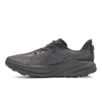 Кроссовки мужские Hoka Speedgoat 6