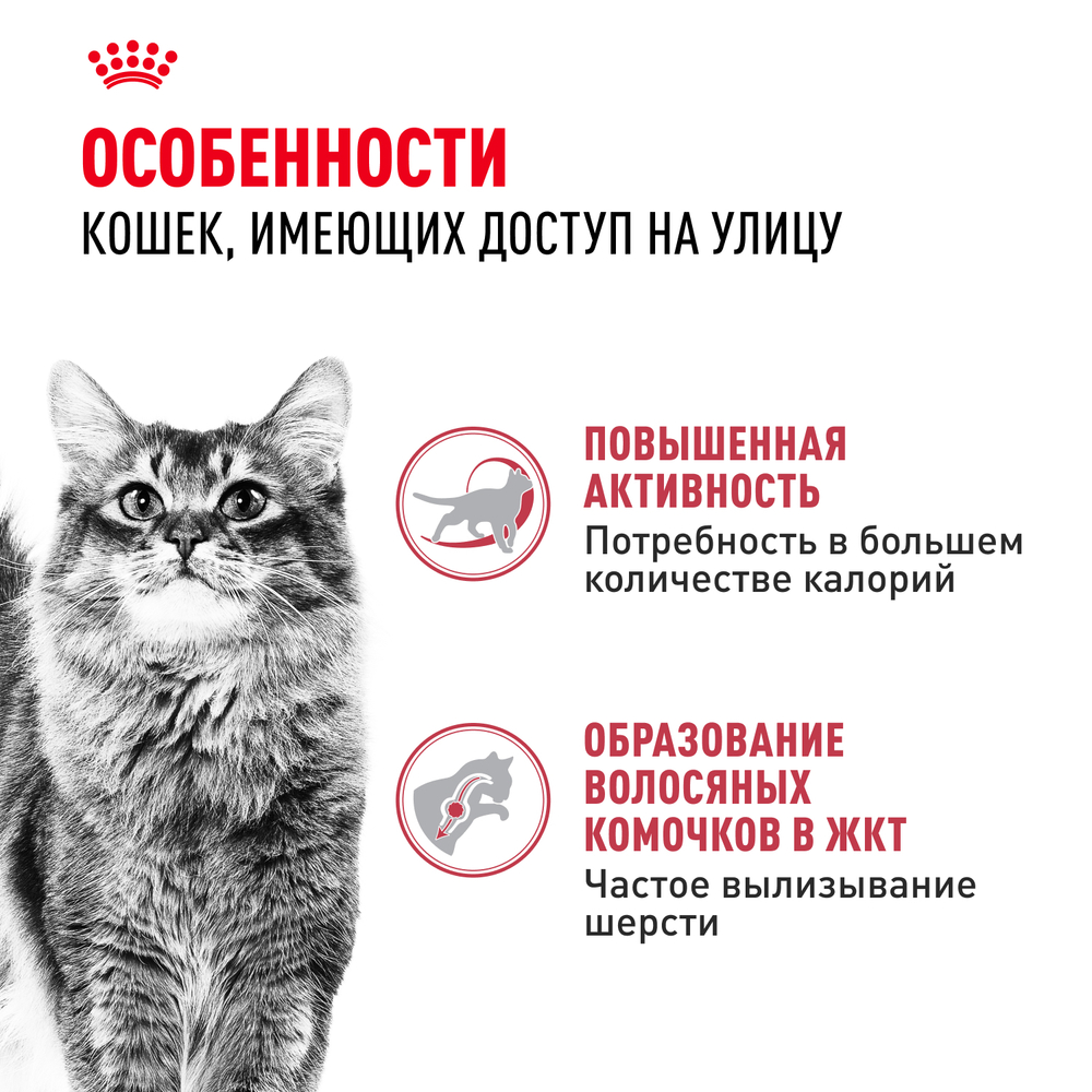 Royal Canin Fit 32 Корм сухой сбалансированный для взрослых умеренно активных кошек от 1 года - 4 кг