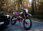 Z10 Red Black