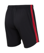Шорты игровые Jögel PREMIER PerFormDRY Spartak Reserve Shorts, черный/красный