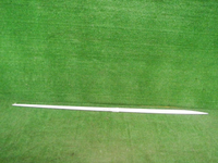 DSCN7831.JPG