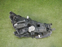DSCN5490.jpg