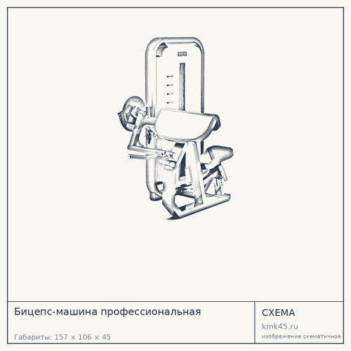 Бицепс-машина профессиональная — от 146 000 ₽