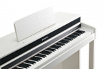 Kurzweil Andante CUP320