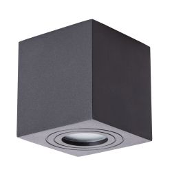 Светильник потолочный Arte Lamp Galopin A1461PL-1BK
