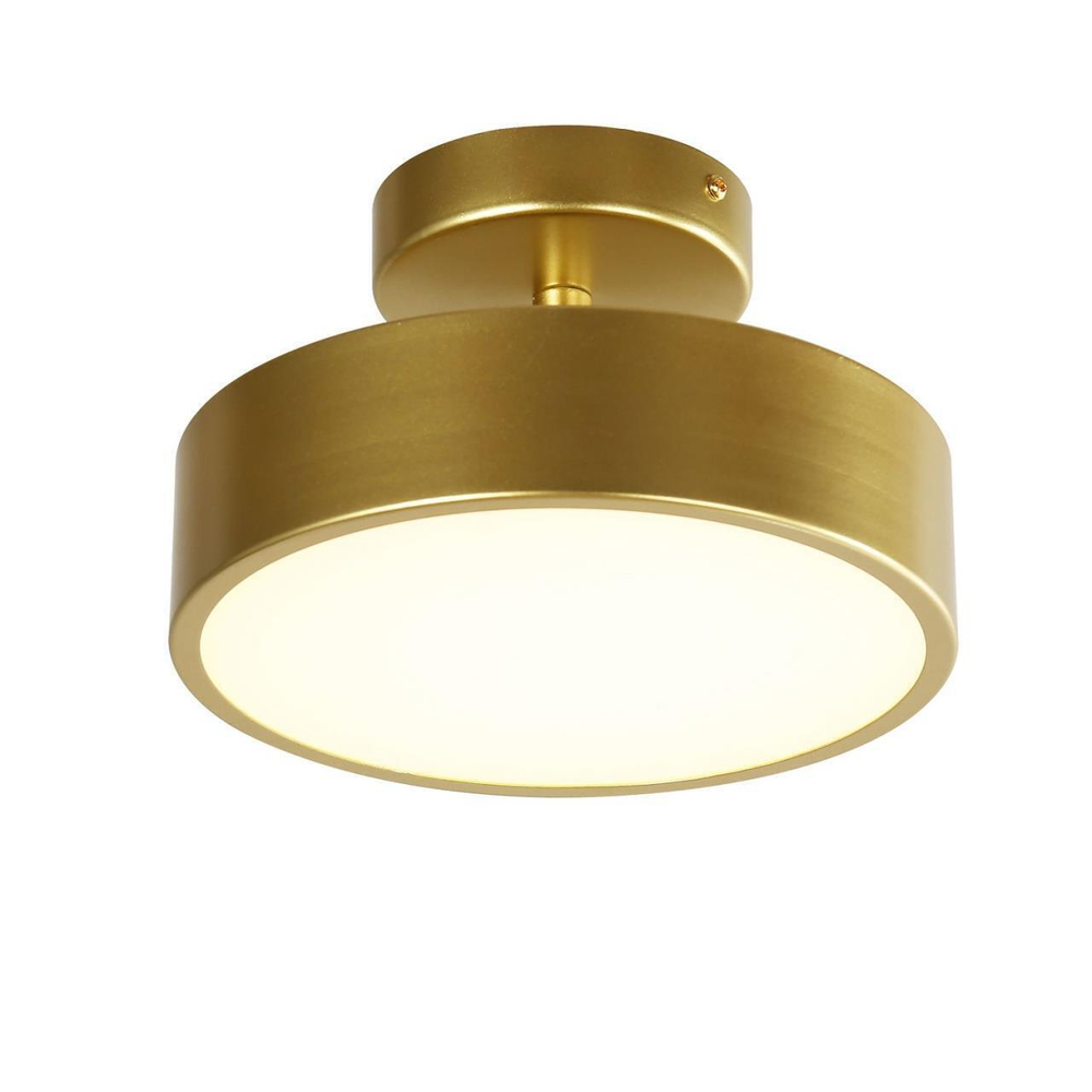 Потолочный светодиодный светильник F-Promo Atma 3059-2P