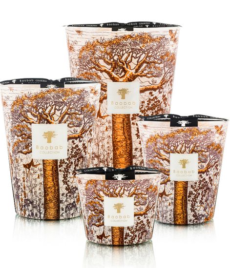 Dualla, свеча MAX 10 Sacred Trees collection, Baobab Collection