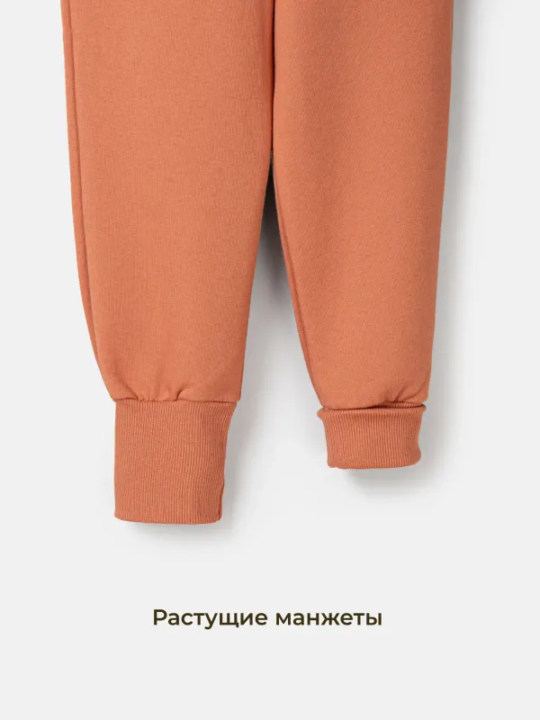 Джоггеры 